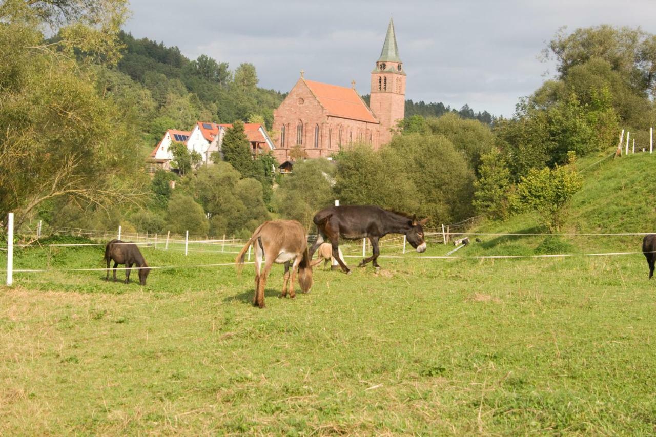 Ferienwohnung Spreter Zimmern ob Rottweil Bagian luar foto